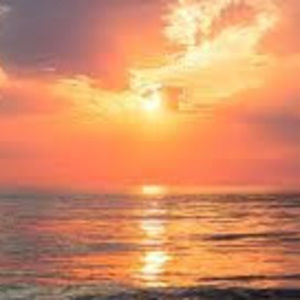 Meet your Posher, Makayla